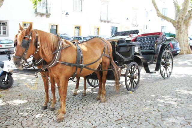 הוילה Brinches Casa Dos Moinhos Velhos מראה חיצוני תמונה